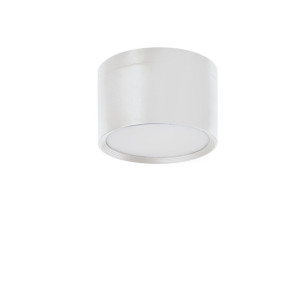Oprawa downlight nawierzchniowy LED 30W 3000lm barwa neutralna 4000K IP54, biała, TIBERI PRO NT30W-940-W; 35678, KANLUX
