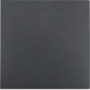 B.X Klawisz do łączników 1-klawiszowych, antracyt mat; linia projektowa: B.Kwadrat/B.3/B.7; BERKER by HAGER