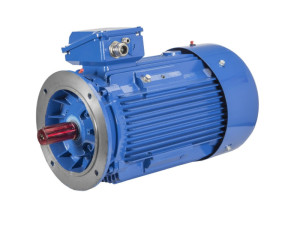 Silnik elektryczny trójfazowy 1,1kW 705 obr/min 400-690V IP55 kołnierz B5; SG 100L-8B-G Celma Indukta