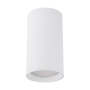 Downlight natynkowy DARIA DWL GU10 WHITE