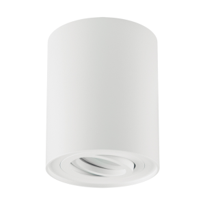 Oprawa sufitowa HARY C GU10 WHITE