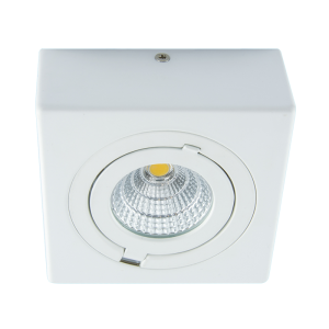 Oprawa sufitowa COB LED IGOR LED D 9W WHITE NW