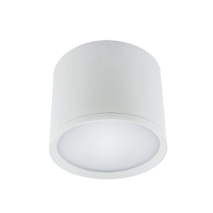 Oprawa sufitowa SMD LED ROLEN LED 10W WHITE NW