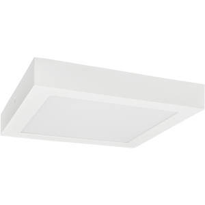 LED FENIX-S White 24W CCT 2100/3220lm - Oprawa LED natynkowa n/t (Downlight LED)