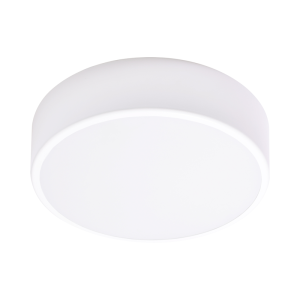 OVO plafon LED, 24W, 4000K, 2750lm, biała stal, klosz szklany matowy, IP20, O 300