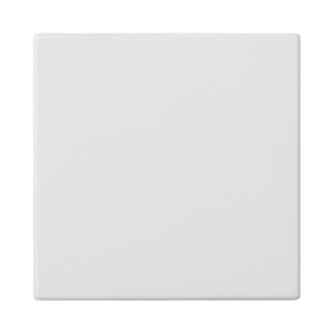 CONNECT Zaślepka S500 na 1 moduł K45 (50x50mm); czysta biel