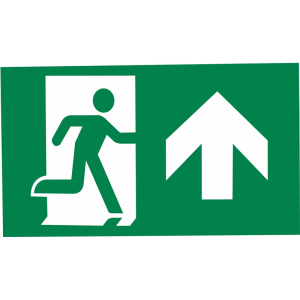 Pictogram EXILON 4,5W - forth