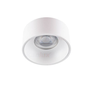 Sufitowa oprawa punktowa RITI GU-10 W/W