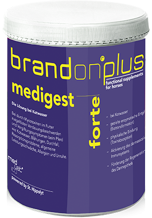 Medigest Forte - detoksyfikacja 1 kg