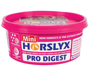 Horslyx lizawka witaminowa Digestion 650g