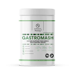 Hippovet Pharmacy VeterinaryLine - GASTROMASH – mesz dla koni wrzodowych, kolkowych i alergicznych 1 kg