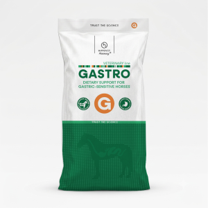 Hippovet Pharmacy VeterinaryLine GASTRO – specjalistyczna pasza dla koni z wrażliwym układem pokarmowym - 20kg