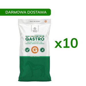 Pakiet 10sztuk Hippovet Pharmacy VeterinaryLine GASTRO 20kg - DARMOWA DOSTAWA