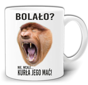 NOSACZ JANUSZ CZY BOLAŁO ? KUBEK W PUDEŁKU GW213