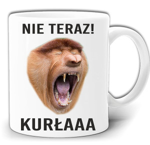 NIE TERAZ KURŁA ! NOSACZ JANUSZ KUBEK W PUDEŁKU GW215