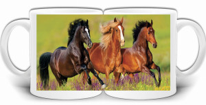 KOŃ KONIE ZWIERZĘTA NATURA KUBEK + PUDEŁKO GW429