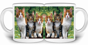 KOTY KOTKI KICIE NADRUK KUBEK + PUDEŁKO GW438