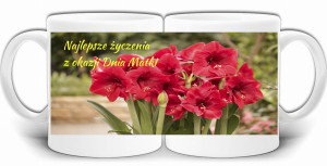 DZIEŃ MATKI PREZENT KUBEK NADRUK + PUDEŁKO GW502