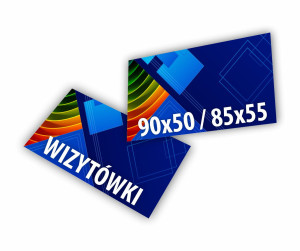 Wizytówki 250 sztuk 350g