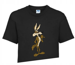 Koszulka T-shirt Fana LOONEY TUNES 146-152 LT6