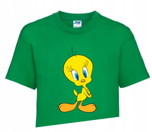 Koszulka T-shirt Fana LOONEY TUNES 110-122 LT5