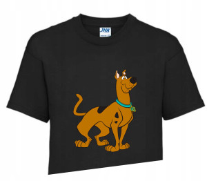 Koszulka T-shirt Fana Gift SCOOBY DOO 146-152 SD3