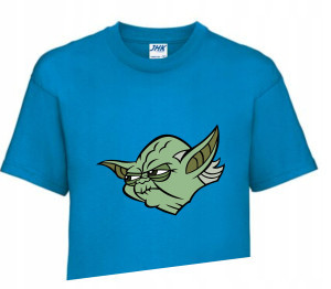 Koszulka T-shirt Fana Gift STAR WARS 134-140 SW2