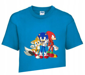 Koszulka T-shirt Fana Prezent SONIC 134-140 SC2