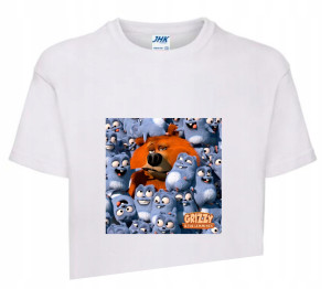 Koszulka T-shirt Fana GRIZZY I LEMINGI 122-128 GL4