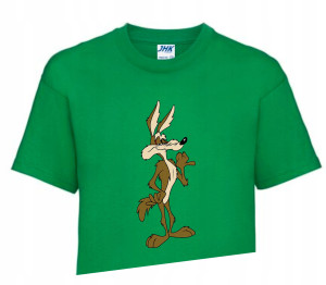 Koszulka T-shirt Fana LOONEY TUNES 110-122 LT6