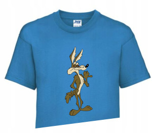 Koszulka T-shirt Fana LOONEY TUNES 134-140 LT6