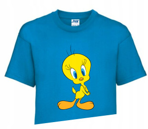 Koszulka T-shirt Fana LOONEY TUNES 134-140 LT5