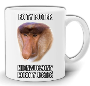 BO TY PJOTER NIENAUCZONY ROBOTY JESTEM NOSACZ JANUSZ KUBEK W PUDEŁKU GW67