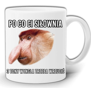 PO CO CI SIŁOWNIA MASZ WĘGIEL DO WRZUCENIA NOSACZ JANUSZ KUBEK W PUDEŁKU GW69