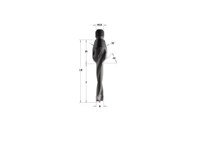 CMT 334.080.12 Wiertło NP gw-trzp.GZ HW D=8 I=30 LB=55 S=M10/30o LH