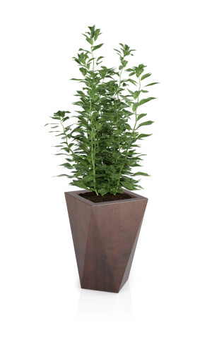  Geometryczna donica Monumo Vaso Corten Effect z wewnętrzną
półką H:59