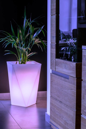  Stylowa donica podświetlana Monumo Vaso Light żarówka RGB
H:59