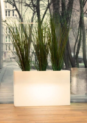  Doniczka podświetlana Maxi, długa, światło ciepłe LED, 80x35x50 cm