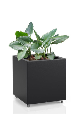  Kwadratowa donica na kółkach Monumo Pixel Pot czarna
H:50
