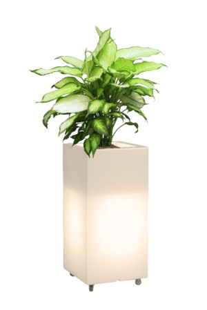  Wysoka donica na kółkach podświetlana Monumo Tower Pot Light
barwa ciepła H:70