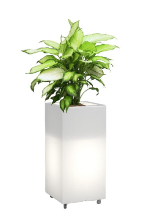  Wysoka donica na kółkach podświetlana Monumo Tower Pot Light
barwa neutralna H:70