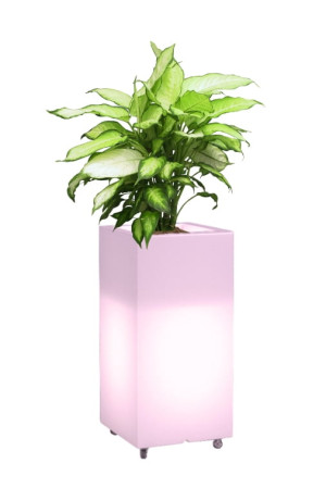  Wysoka donica na kółkach podświetlana Monumo Tower Pot Light
żarówka RGB H:70
