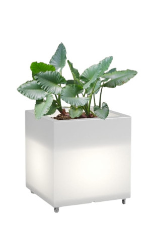  Kwadratowa donica na kółkach podświetlana Monumo Pixel Pot
Light barwa neutralna H:50