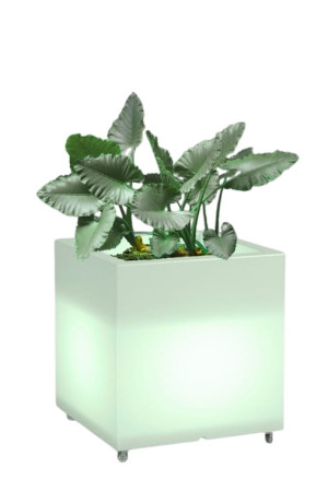  Kwadratowa donica na kółkach podświetlana Monumo Pixel Pot
Light żarówka RGB H:50