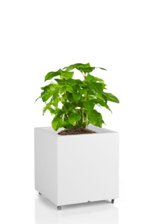  Kwadratowa donica na kółkach Monumo Pixel Pot biała
H:40