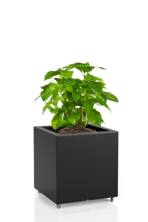  Kwadratowa Donica na kółkach Monumo Pixel Pot czarna
H:40