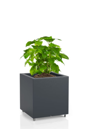 Kwadratowa donica na kółkach Monumo Pixel Pot antracyt
H:40