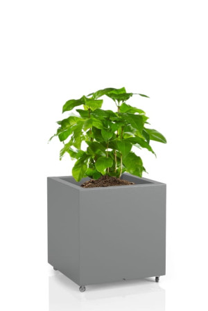  Kwadratowa donica na kółkach Monumo Pixel Pot szara
H:40