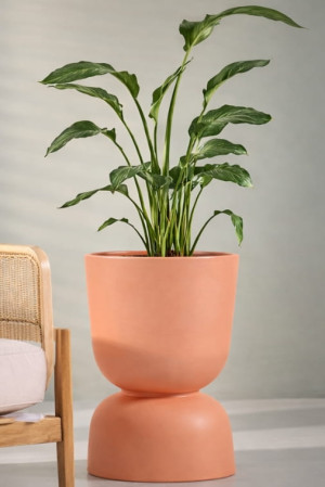 Donica ogrodowa kielich dwustronny 60 cm brzoskwiniowa | Reverso z półką | Monumo