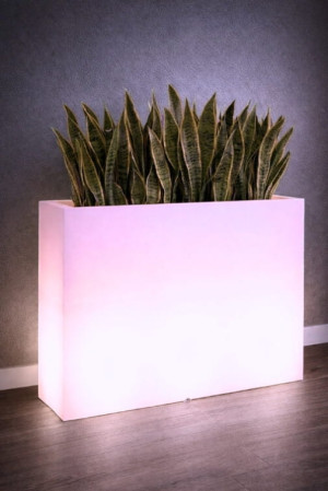  Prostokątna donica podświetlana Monumo Lungo Grande Light
żarówka RGB H:60